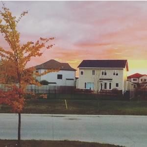 Meet your Posher, Jenny